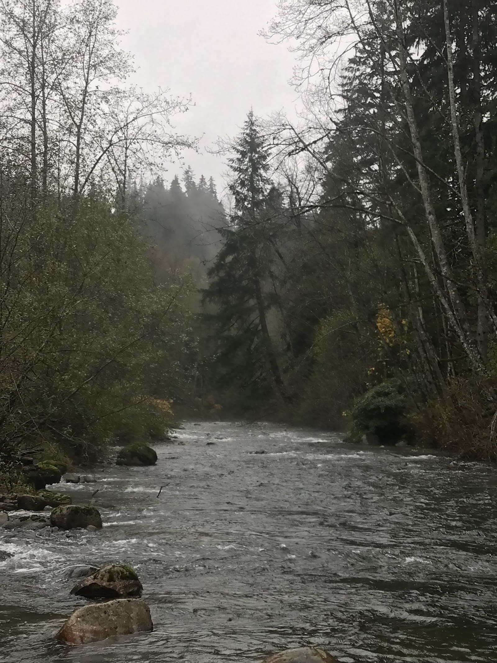 Pacific Northwest river